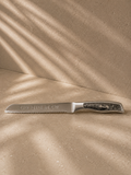 Elegant Shabbat & Yom Tov Knife